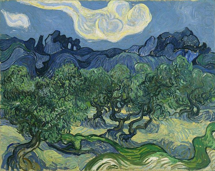 The Olive Trees, Vincent Van Gogh